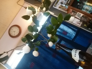 水木団子作ったりして
