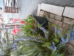 それぞれのお役め！