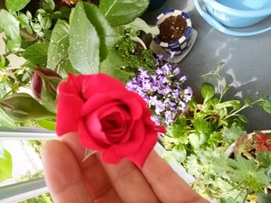 曇りが晴天に変身の大船渡!